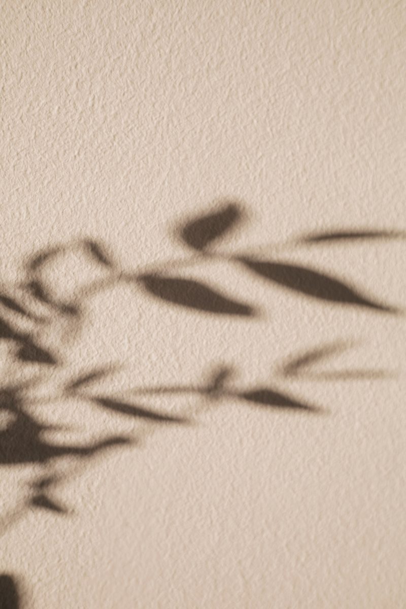 Atmospheric image of the therapy space